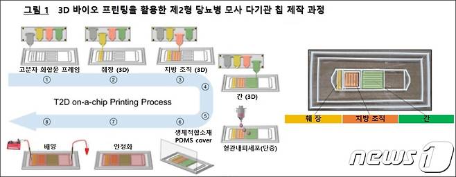 3D 바이오 프린팅을 활용한 제2형 당뇨병 모사 다기관 칩 제작 과정/은평성모병원 제공