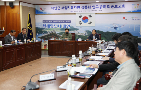 3일 군청 소회의실에서 열린 '태안군 해양치유자원 상용화 연구용역 최종보고회' 모습.사진=태안군 제공