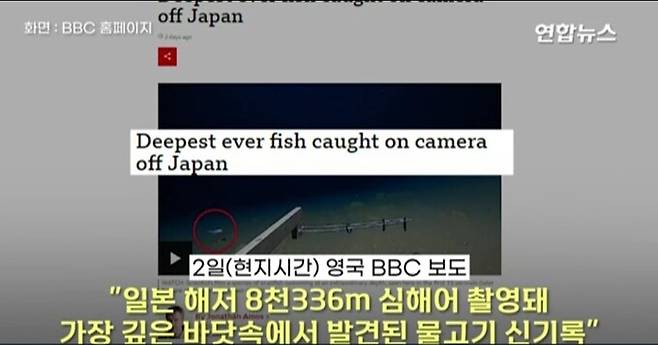 연합뉴스 유튜브 영상 캡처.