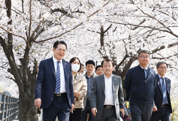 최대호 안양시장(왼쪽 첫번째)이 3일 충훈2교 및 석수로 일대 안양충훈벚꽃축제 행사장을 찾아 관계자들과 현장을 점검하고 있다. [사진=안양시]