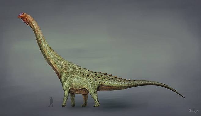 티타노사우루스(titanosaur)의 그래픽 이미지