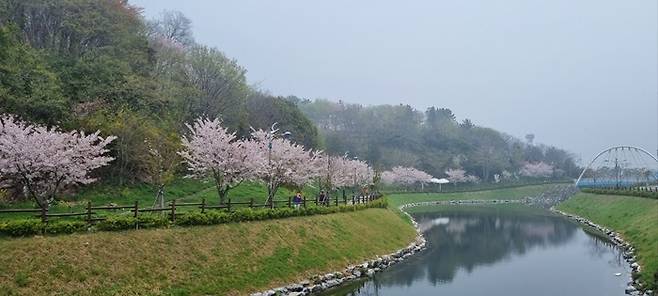 삼학도 숲길=목포시 제공