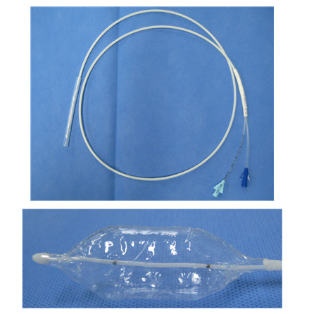 풍선확장식밸브성형술용카테터<식품의약품안전처 제공>