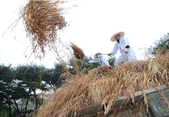 한식을 맞아   (구리=연합뉴스) 박동주 기자 = 한식인 6일 경기도 구리시 동구릉 내 태조 이성계의 무덤인 건원릉에서 봉분을 덮고 있는 억새를 자르는 '청완 예초의'가 치러지고 있다. 2023.4.6   pdj6635@yna.co.kr (끝)  〈저작권자(c) 연합뉴스, 무단 전재-재배포 금지〉