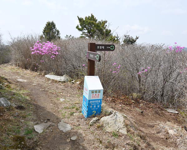 봉화산 정상의 부암산 방향 이정표.