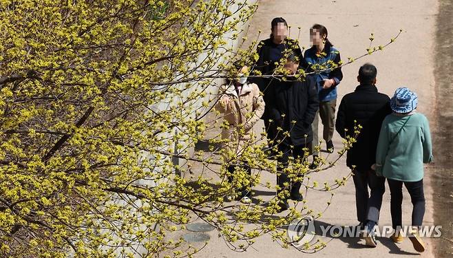 산수유 활짝, 외투는 두툼 (서울=연합뉴스) 김인철 기자 = 꽃샘추위가 찾아온 13일 서울 청계천 주위에 핀 산수유 아래로 두툼한 외투를 입은 시민들이 걸어가고 있다. 2023.3.13 yatoya@yna.co.kr