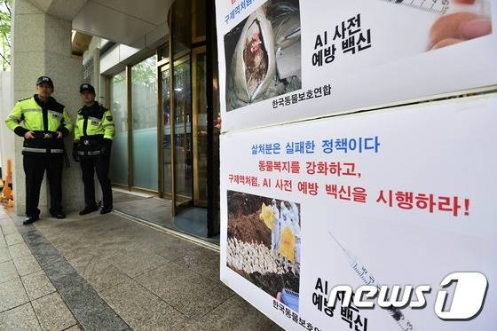 한국동물보호연합 회원이 18일 오후 서울 종로구 정부서울청사 후문 앞에서 조류독감(AI) 사전 예방 백신 사용을 촉구하는 1인시위를 하고 있다. 동물보호연합은 이날 "2003년부터 13년간 8번의 조류독감을 거치며 살처분은 이미 실패한 정책이라는 것이 확실해졌다＂며 ＂AI 사전 백신은 최후의 수단이 아니라 최선의 방법이다＂라고 밝혔다. 2017.4.18/뉴스1 ⓒ News1 민경석 기자