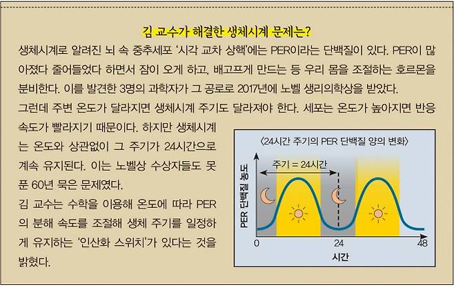 김 교수가 해결한 생체시계 문제는. 수학동아 제공