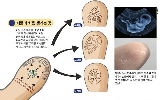 어린이과학동아 제공