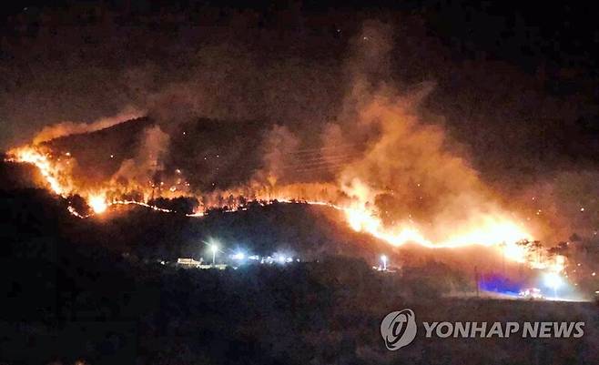 지난해 3월 삼척시 산불출처 : 연합뉴스