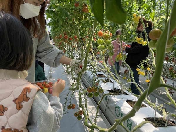 광주 농업기술센터 체험사진= 광주농업기술센터 제공