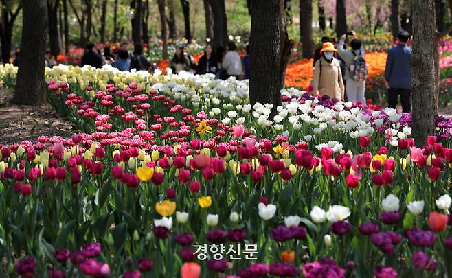 서울 성동구 서울숲에서 9일 시민들이 산책하고 있다. 김창길기자