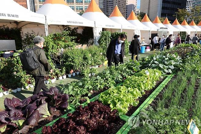 서울도시농업박람회 (서울=연합뉴스) 김주성 기자 = '2022 서울도시농업박람회'가 시작된 7일 서울광장을 찾은 관람객들이 화분에 재배하는 무 등 다양한 작물들을 구경하고 있다. 2022.10.7 utzza@yna.co.kr