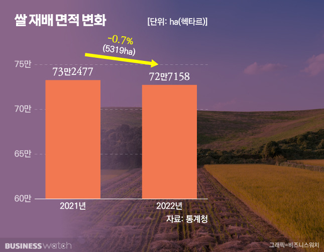 쌀 재배 면적 변화, 엔데믹에도 쌀 재배 면적 감소는 0.7%에 그쳤다. /그래픽=비즈워치