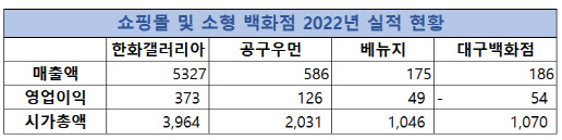 쇼핑몰 및 소형 백화점 2022년 실적 현황(자료=각 사, 단위: 개, 억원)