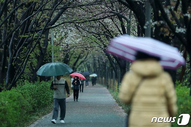 전국 곳곳에 봄비가 내린 5일 오전 서울 강남구 양재천 밀미리다리 산책길에서 우산을 쓴 시민들이 벚꽃길을 산책하고 있다. 2023.4.5/뉴스1 ⓒ News1 김진환 기자