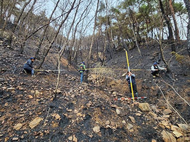 한국치산기술협회 직원들이 대형산불피해지의 2차 피해를 막기위해 산사태우려지역 긴급진단을 벌이고 있다.