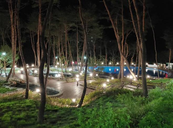 공무원들은 관리자 계정을 이용해 미리 객실을 선점했던 것으로 알려진 한 자연휴양림. 숲나들e 캡처