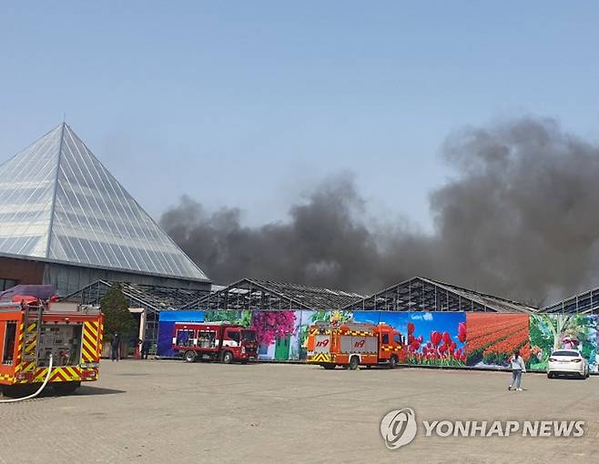 아산세계꽃식물원 화재 (아산=연합뉴스) 10일 오전 11시 55분께 충남 아산시 도고면 아산세계꽃식물원에서 불이 나 20∼30대 남성 2명이 화상을 입고, 식물원 내 일반동 등 1천㎡가 탔다. 2023.4.10 [충남 아산소방서 제공. 재판매 및 DB 금지] coolee@yna.co.kr