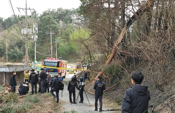 〈사진=산림청 제공〉