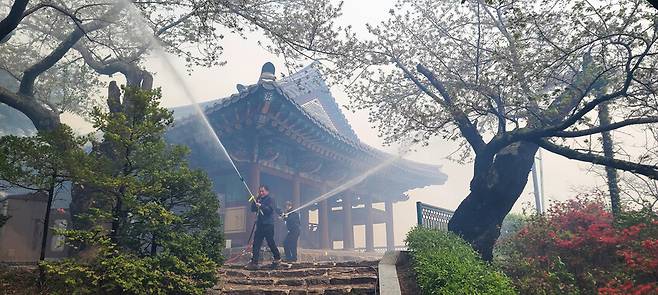 11일 오전 강원 강릉시 난곡동의 한 야산에서 난 불이 확산돼 경포대에서 진화대원이 불길이 번지지 않도록 물을 뿌리고 있다. 연합뉴스