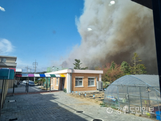 ▲ 강릉 산불로 경포대초 학생과 교직원들이 대피했다. 불길과 연기가 학교 쪽을 향하고 있다.독자제공