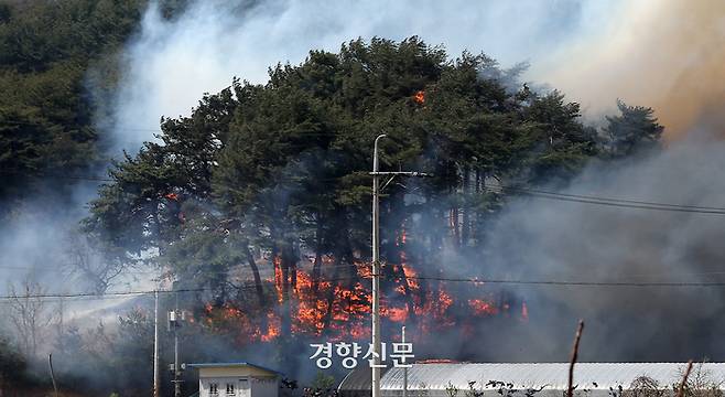 11일 강원 강릉시 난곡동에서 발생한 산불이 번져 검은 연기가 치솟고 있다. 이날 강릉을 비롯한 영동 지역에 건조 경보와 강풍 경보가 내려졌으며 소방청은 최고 대응 수위인 소방 대응 3단계, 전국 소방동원령 2호를 발령했다. 조태형 기자