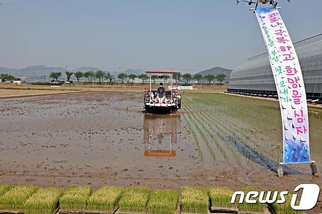 2022년 첫 모내기 현장(부산시청 제공)