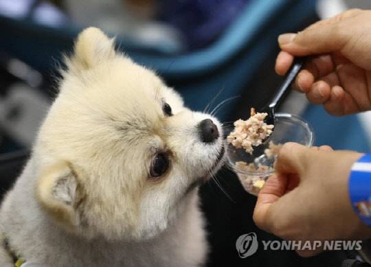 사진 연합뉴스