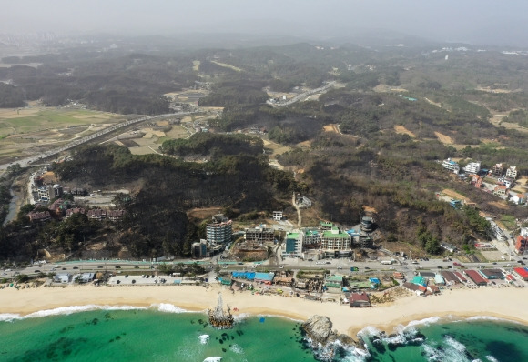 12일 강원 강릉시 경포 일원 산림과 건물에 전날 대형 산불의 흔적이 처참하게 남아 있다.  강릉 연합뉴스