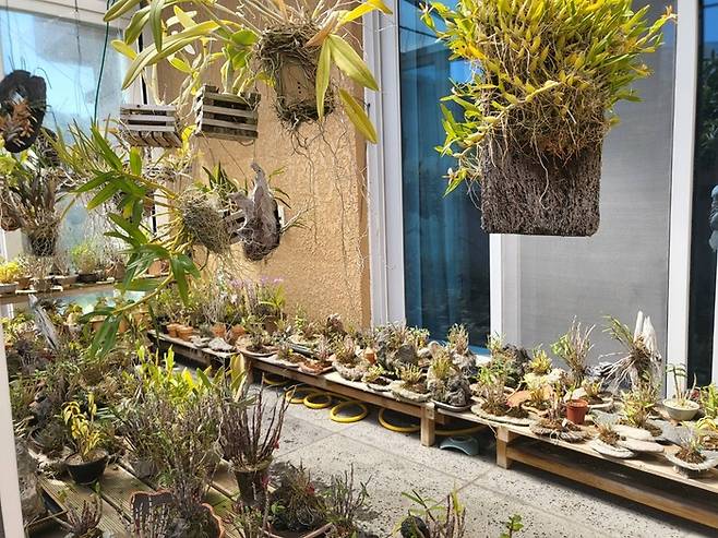 직접 키우시는 난/사진=강찬미 여행+기자