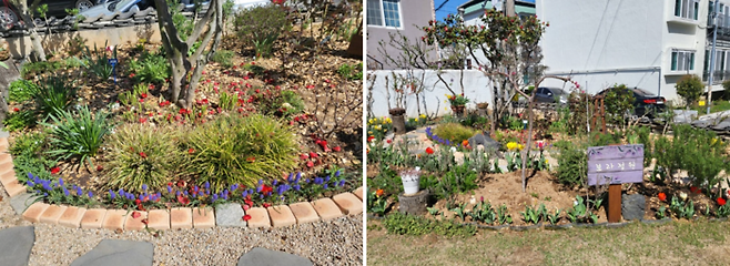 보랏빛 향기 정원/사진=강찬미 여행+기자