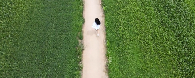 경북 안동 헴프 규제자유특구.[안동시 제공]