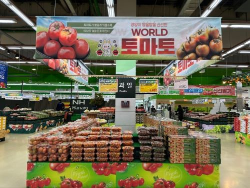 사진 제공. 한국토마토생산자협의회