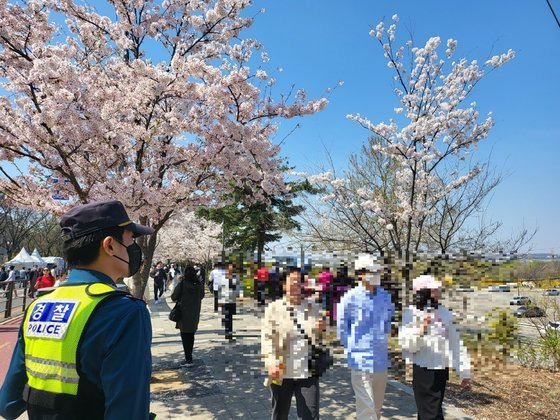 지난 2일 서울 여의서로 벚꽃길을 걷고 있는 시민들 옆에서 경찰이 인파 통제를 하고 있다. 김홍범 기자