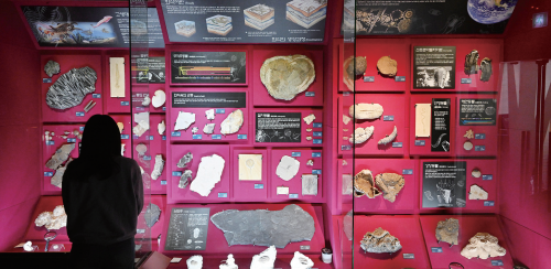 2층 상설전시실에 전시된 각종 공룡, 광물 화석들. 김시범기자