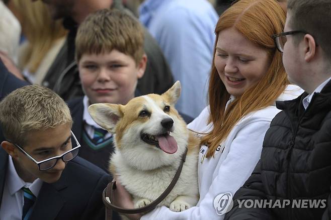영국 찰스 3세 국왕 부부 행사에 등장한 웰시 코기 [EPA 연합뉴스 자료사진. 재판매 및 DB 금지]