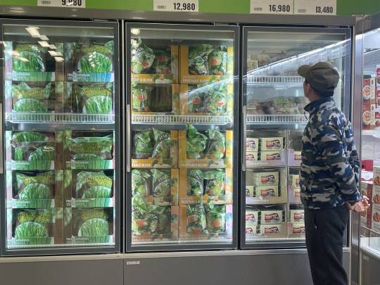 대전 서구 월평동 이마트 트레이더스에서 한 시민이 냉동 채소 코너를 살펴보고 있다. 사진=최다인 기자