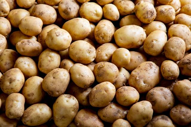 사진=클립아트코리아