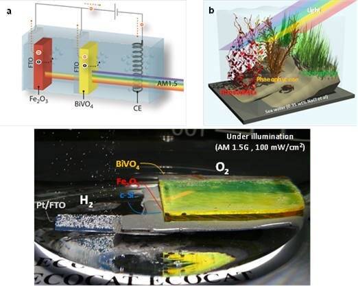 이재성&nbsp;울산과학기술원 에너지 및 화학공학부&nbsp;교수팀이 개발한 인공&nbsp;나뭇잎 광합성 원리를 설명한 이미지