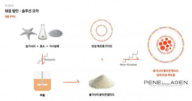 불가사리 콜라겐을 TDS로 진피까지 전달하게 해주는 스타스테크의 '페넬라겐' 개념도
