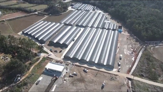 이상춘 고흥수산 대표가 운영 중인 6만6000㎡ 규모의 육상 해수양식장 전경. [사진 고흥수산]