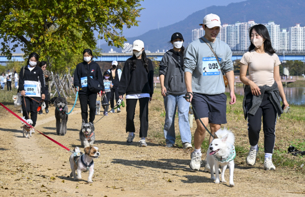 ‘반려동물 걷기대회’에 참가한 시민들이 반려견과 공원 일대를 걷고 있다. 국제신문DB