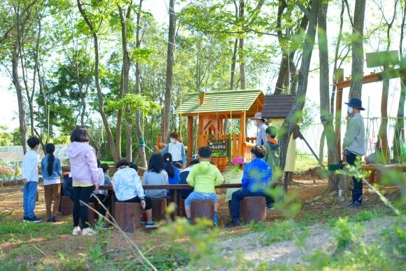 전북 정읍 이평초등학교 농촌유학생들이 숲속에서 진행되는 생태체험학습을 하고 있다. 전북도교육청 제공