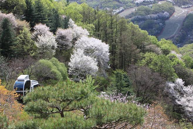 경기 광주시 도척면 화담숲. 사진:경기관광공사