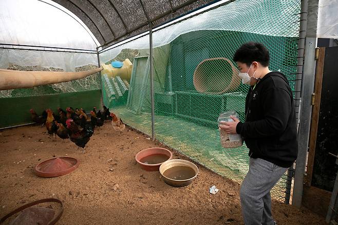 사육사가 꿈인 규빈 군은 집에 돌아오면 닭장에 들러 사료를 주고 달걀을 챙긴다. ⓒ시사IN 신선영