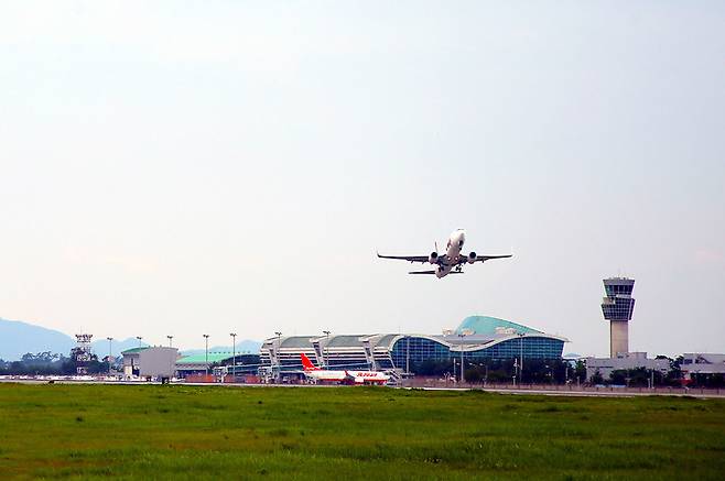 [무안=뉴시스] 무안국제공항 전경. (사진=뉴시스DB) photo@newsis.com *재판매 및 DB 금지