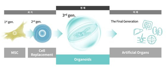 사람의 줄기세포를 활용해 만드는 '장기 유사체'인 오가노이드의 발전 단계 설명. [그래픽 오가노이드사이언스]