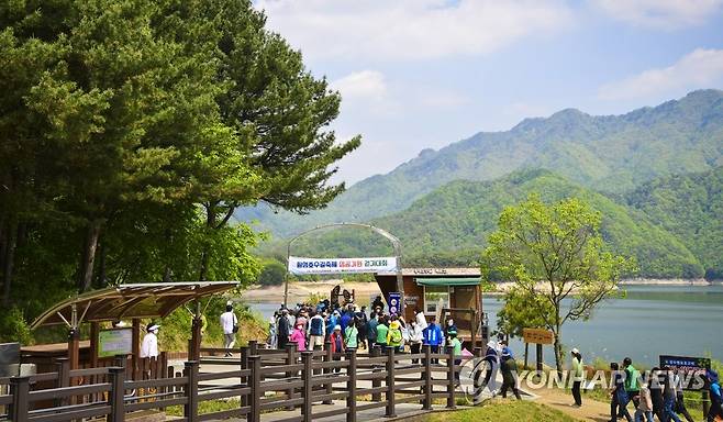 횡성호수길 [연합뉴스 자료사진]