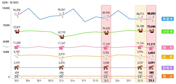 한육우, 젖소, 돼지 사육 마릿수 동향(통계청 제공)